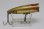 画像5: heddon Chugger Spook / ヘドン　チャガー　スプーク (5)