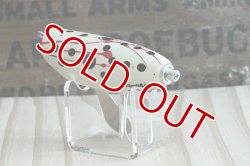 画像9: ＲＥＣＯＲＤ　テンコー