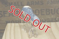 画像10: 津波ルアーズ　ヴィーヴォ