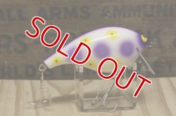 画像3: ガウラクラフト　シェイクヒップ