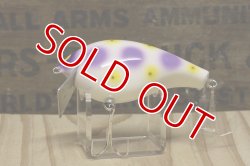 画像5: ガウラクラフト　シェイクヒップ