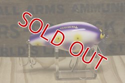 画像4: ガウラクラフト　シェイクヒップ