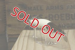 画像13: タマタマルアー　マスターシーラス