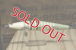 画像5: タマタマルアー　マスターシーラス