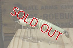 画像10: タマタマルアー　マスターシーラス