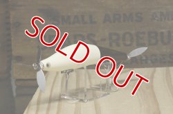 画像6: タマタマルアー　マスターシーラス