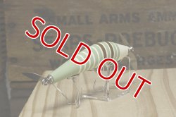 画像12: タマタマルアー　マスターシーラス