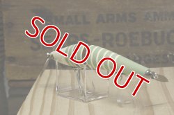 画像9: タマタマルアー　マスターシーラス