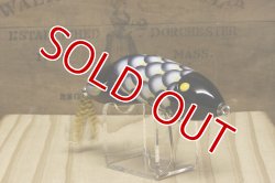 画像8: パイプライン　ＤＥＡＤフィッシュ