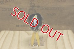 画像10: パイプライン　ＤＥＡＤフィッシュ