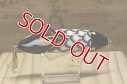 画像4: パイプライン　ＤＥＡＤフィッシュ