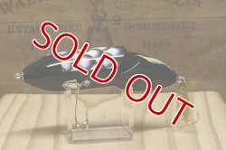 画像5: パイプライン　ＤＥＡＤフィッシュ