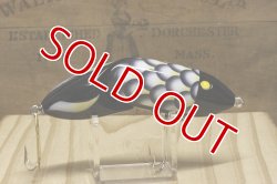 画像3: パイプライン　ＤＥＡＤフィッシュ