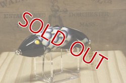 画像6: パイプライン　ＤＥＡＤフィッシュ