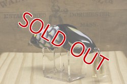 画像9: パイプライン　ＤＥＡＤフィッシュ