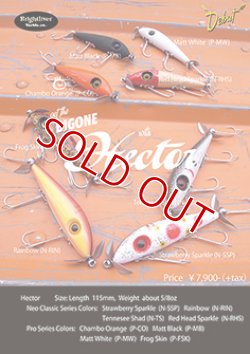 画像13: ブライトリバー　Ｈｅｃｔｏｒ