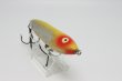 画像5: heddon ZARA SPOOK 1st  / 1st ザラ　スプーク　