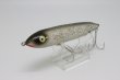 画像1: heddon ZARA SPOOK 1st  / 1st ザラ　スプーク　