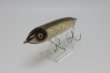 画像1: heddon ZARA SPOOK 1st  / 1st ザラ　スプーク　