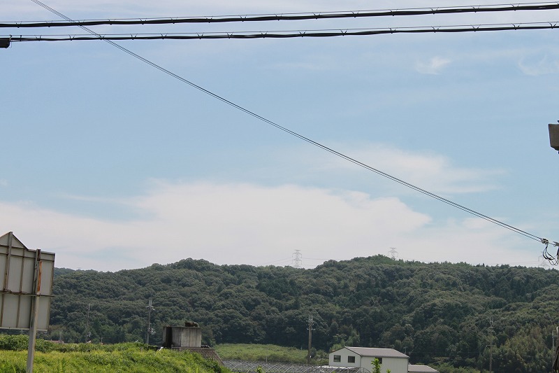 画像: ８．２４　ええ天気