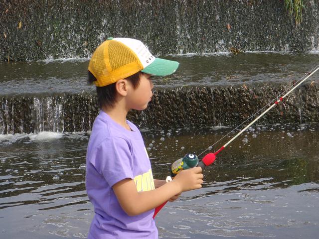 画像: 豚のおかげで釣り