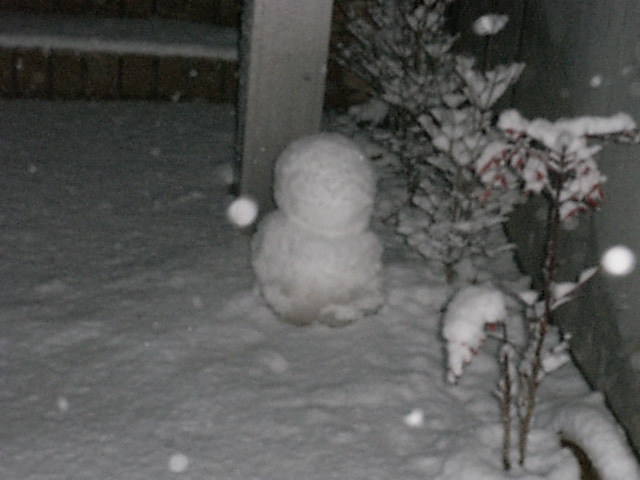 画像: 今日は雪