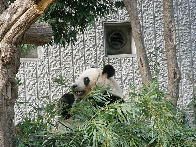 画像: 王子動物園