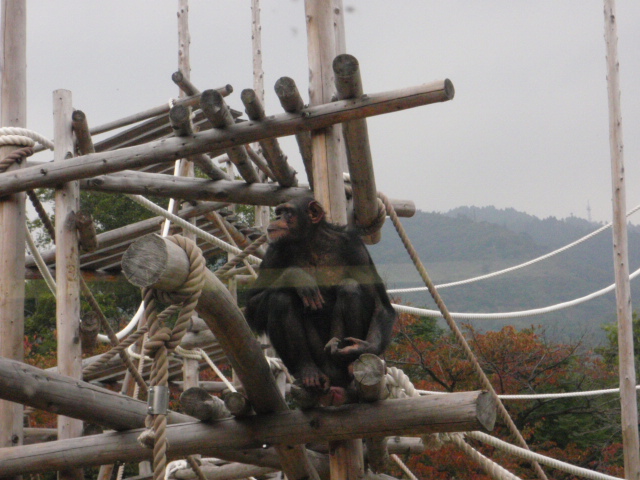 画像: 動物園３