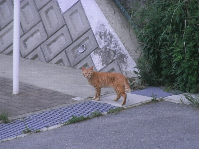 画像: 5月19日その後